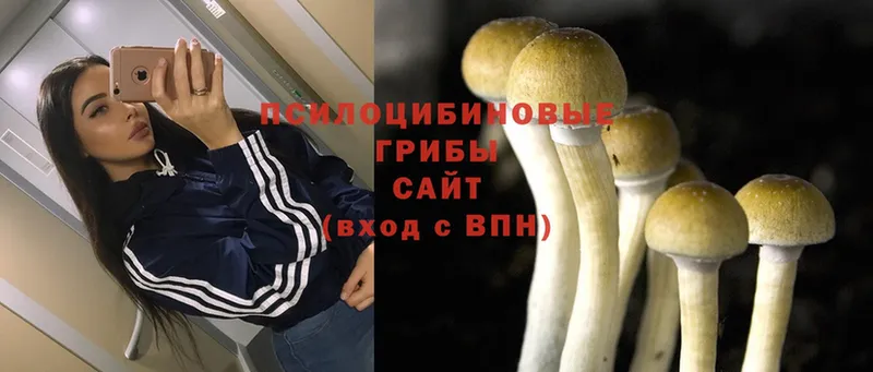 Псилоцибиновые грибы Magic Shrooms Карабаш